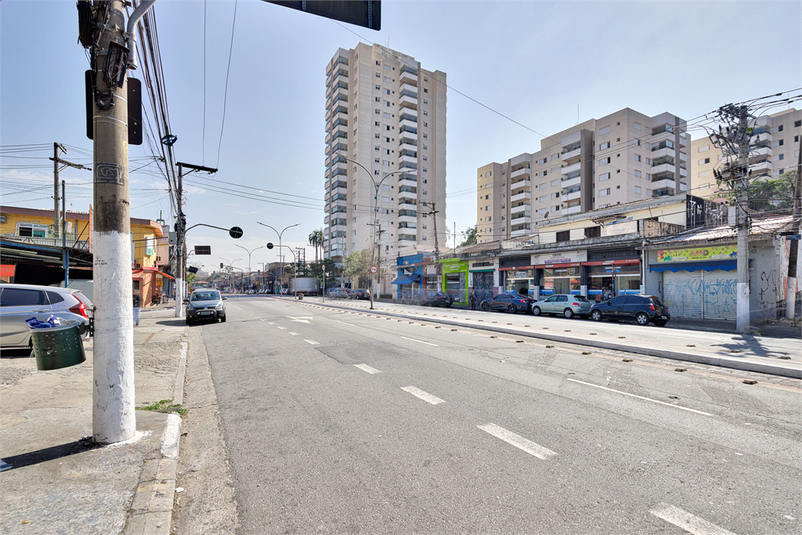 Foto REO1118392