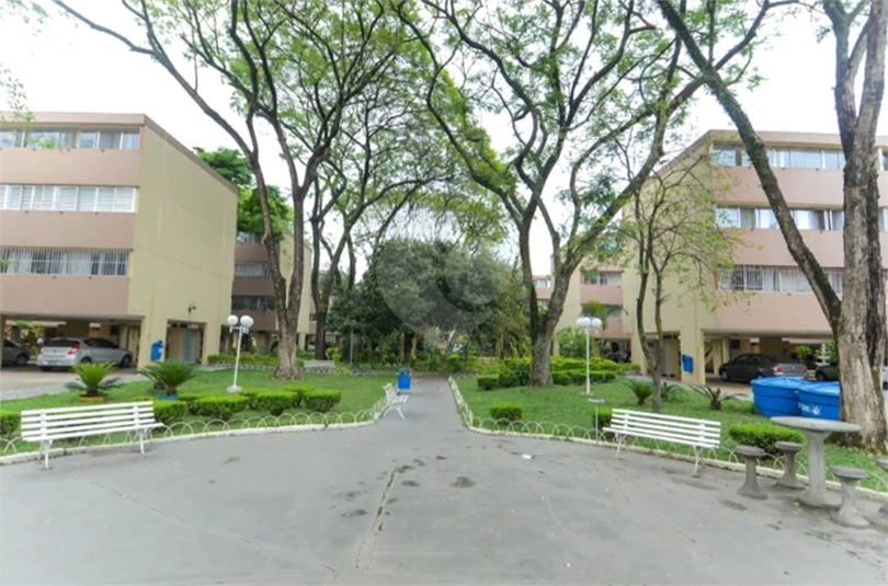 Foto REO1118394