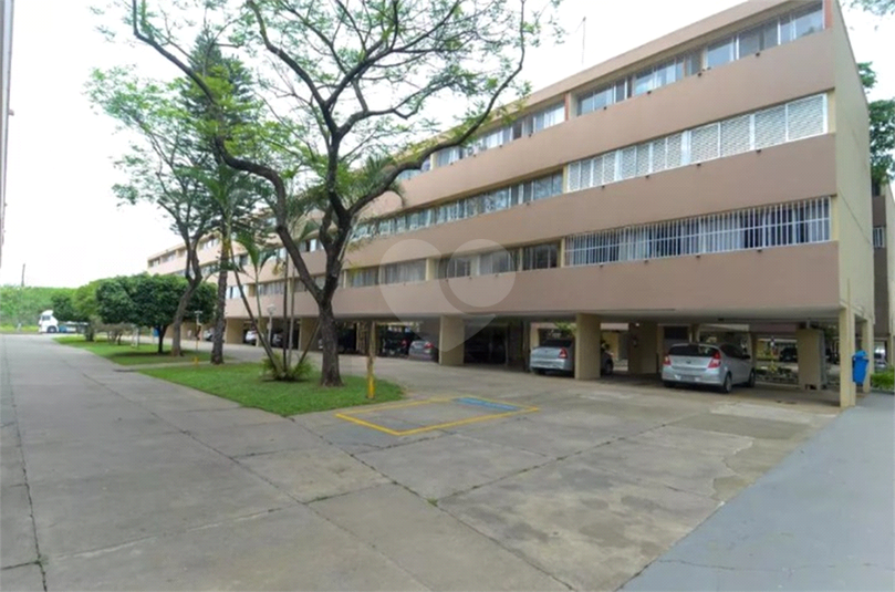 Foto REO1118394