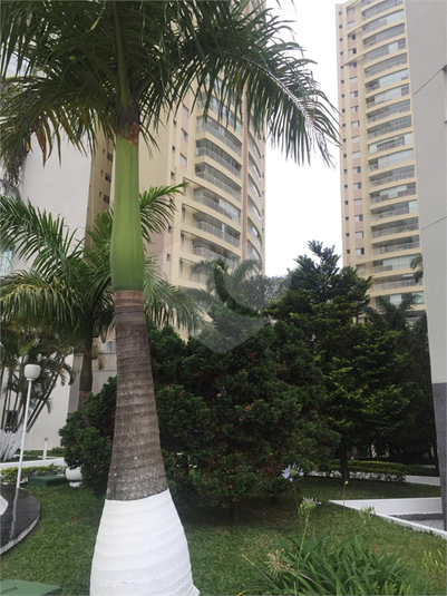 Foto REO1118397