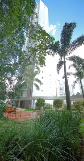 Foto REO1118408
