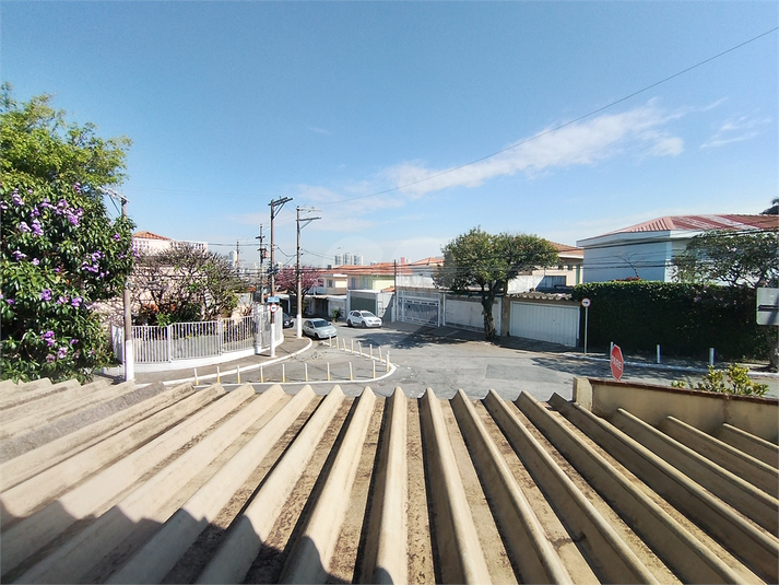 Foto REO1118422