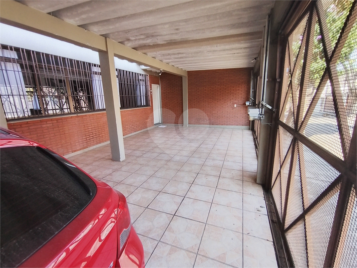 Foto REO1118422