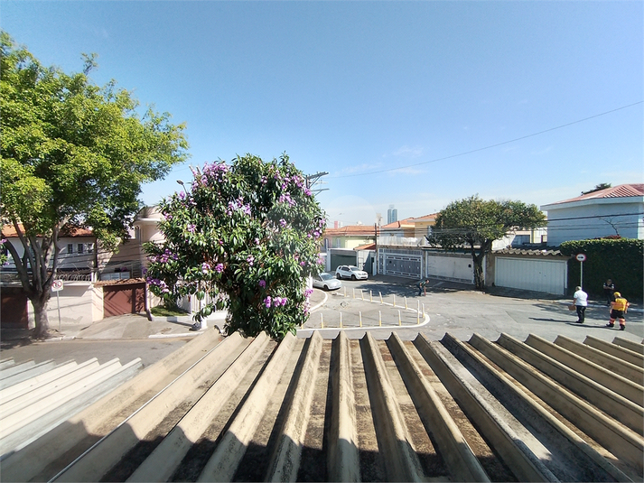 Foto REO1118422