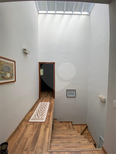 Foto REO1118423