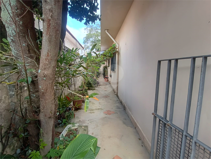 Foto REO1118424