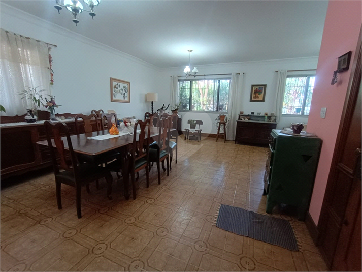 Foto REO1118424