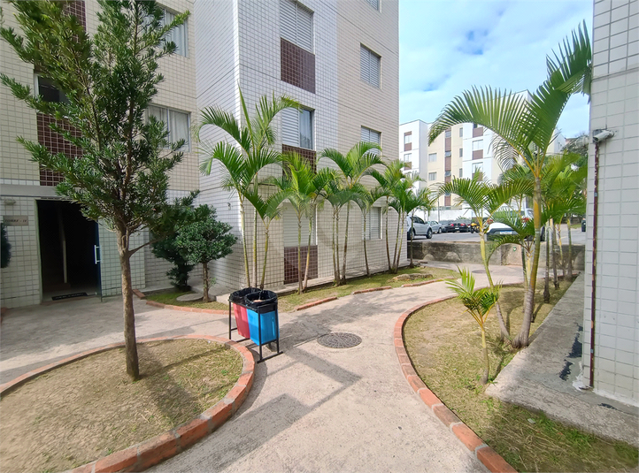 Foto REO1118426
