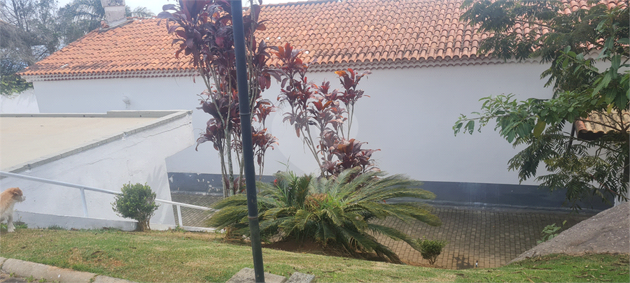 Foto REO1118429