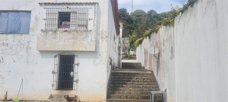 Foto REO1118429