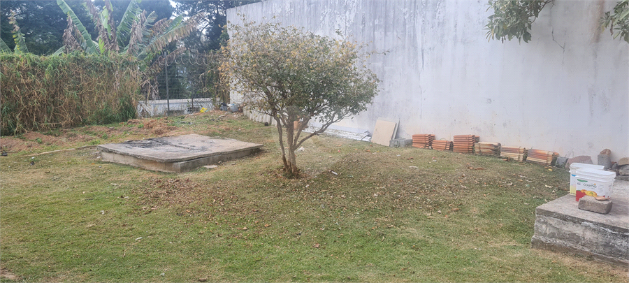 Foto REO1118429