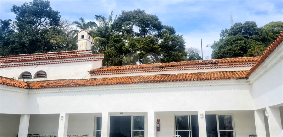 Foto REO1118429