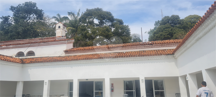 Foto REO1118429