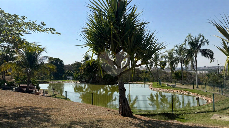 Foto REO1118434