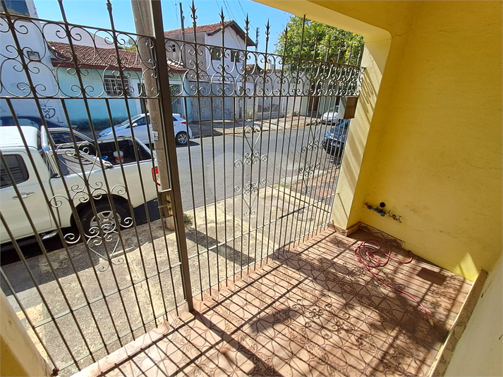 Foto REO1118436