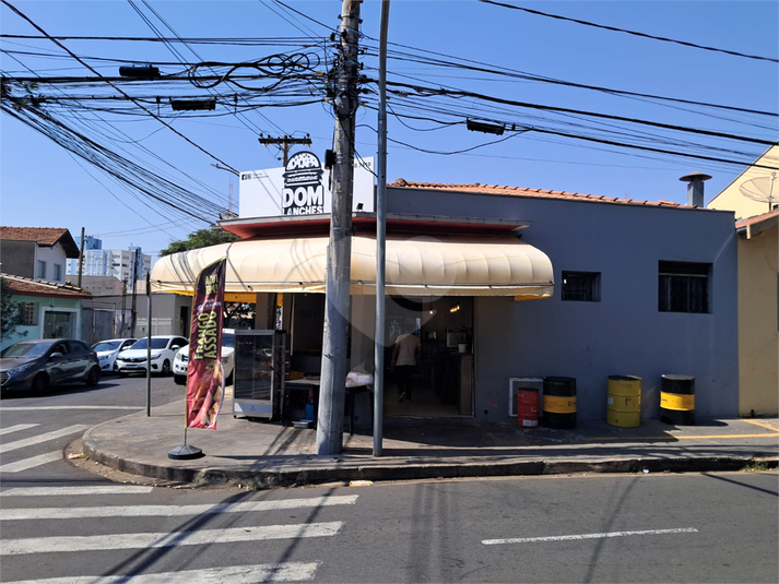 Foto REO1118436