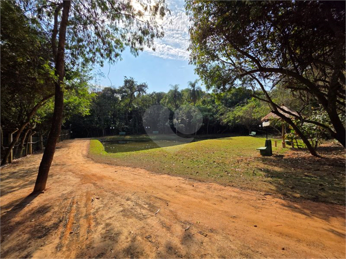 Foto REO1118440