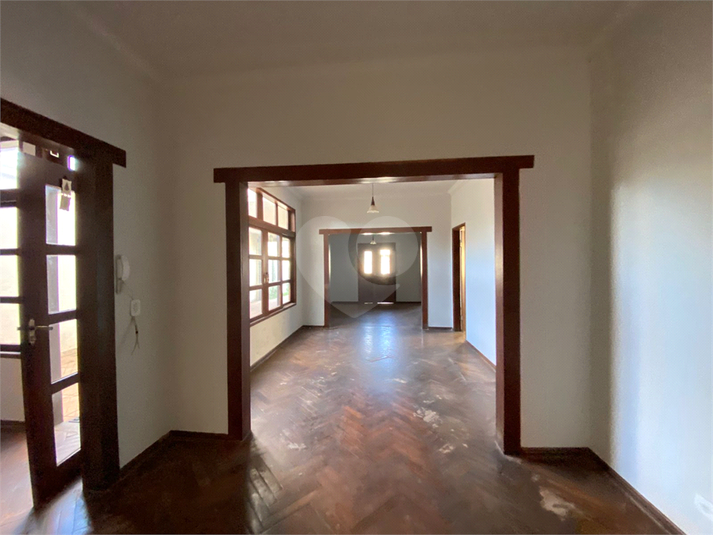 Foto REO1118445