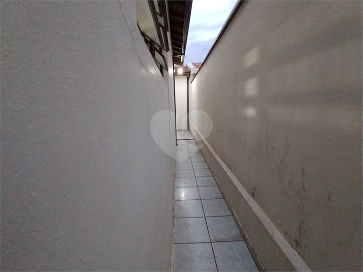 Foto REO1118449