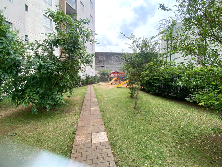 Foto REO1118452