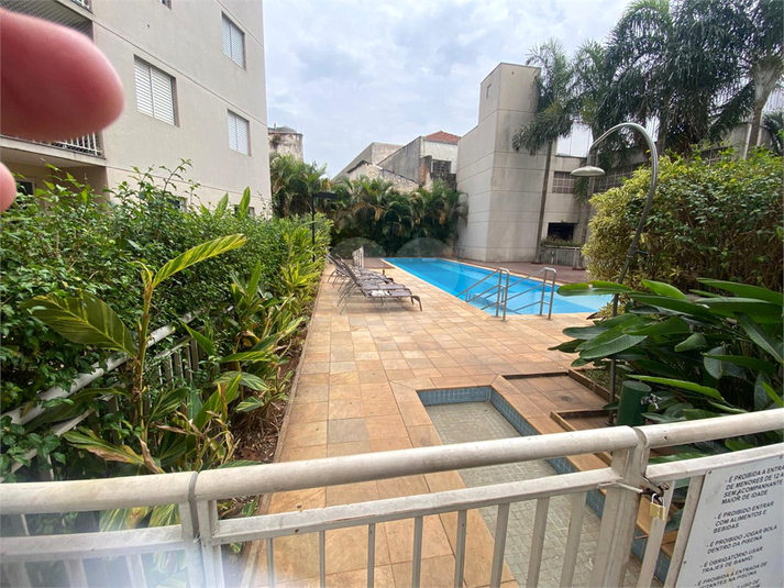 Foto REO1118452