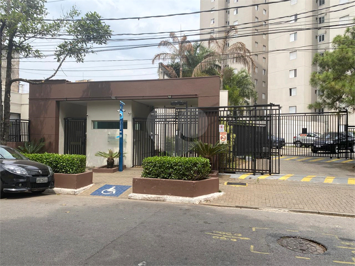 Foto REO1118452