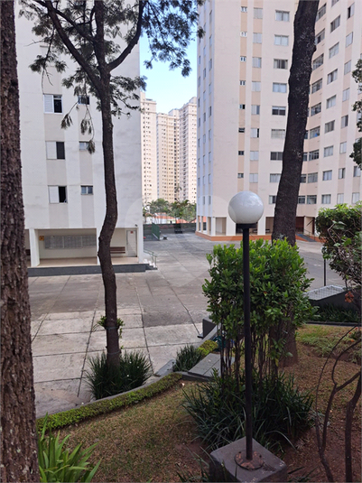 Foto REO1118458
