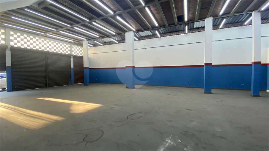 Foto REO1118459