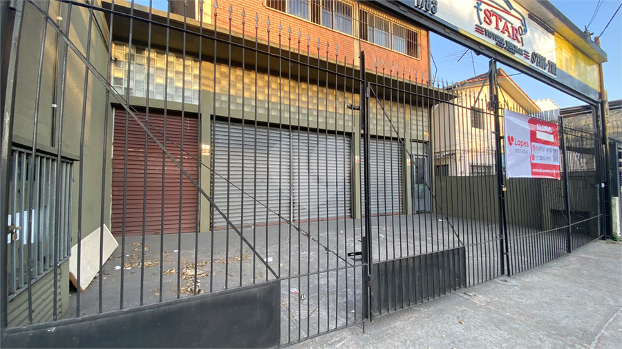 Foto REO1118459