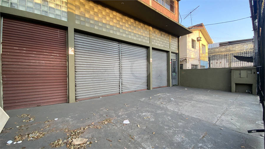 Foto REO1118459