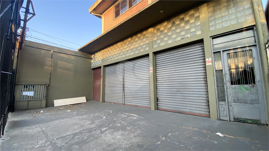 Foto REO1118459