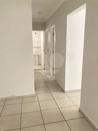 Foto REO1118466