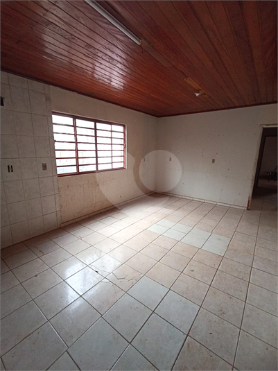Foto REO1118479