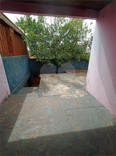 Foto REO1118479