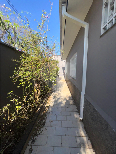 Foto REO1118480