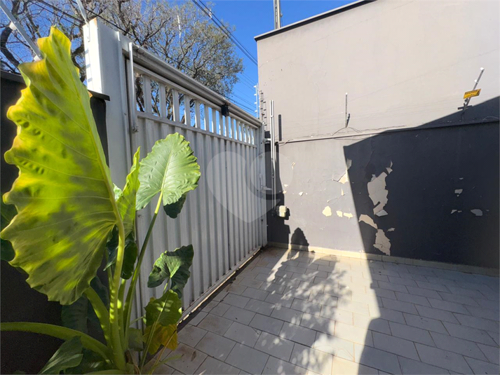 Foto REO1118480