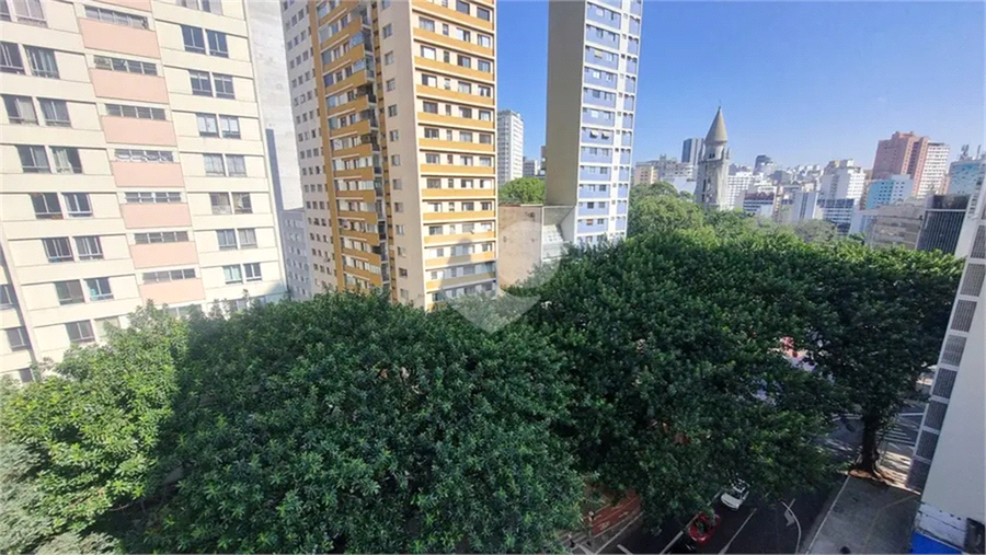 Foto REO1118491
