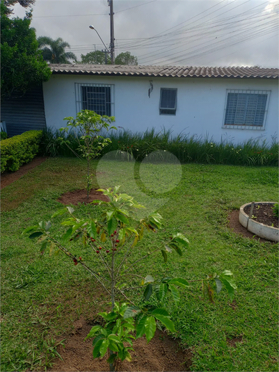 Foto REO1118492