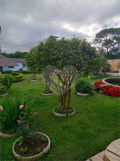 Foto REO1118492