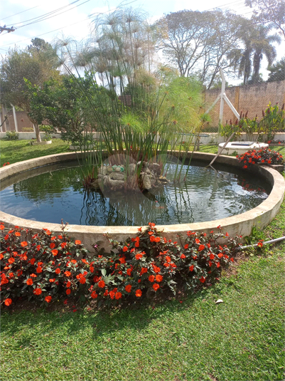 Foto REO1118492