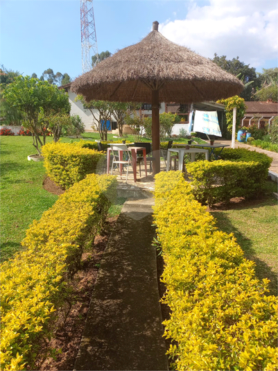 Foto REO1118492