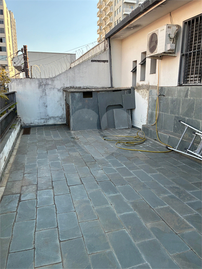 Foto REO1118496