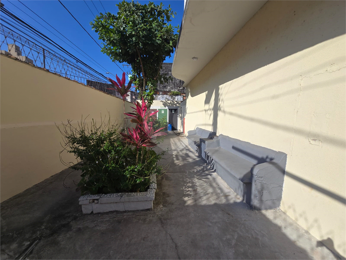 Foto REO1118499