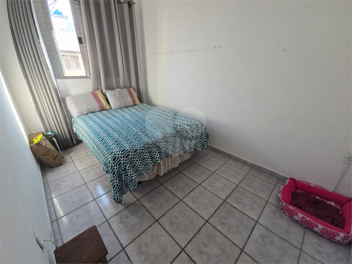 Foto REO1118499