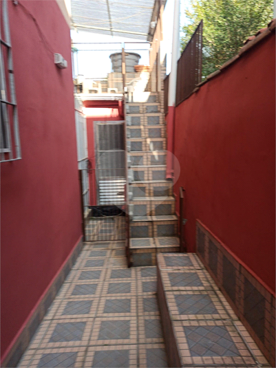 Foto REO1118508
