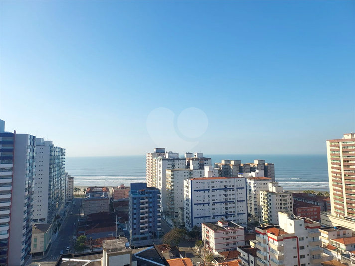 Foto REO1118516