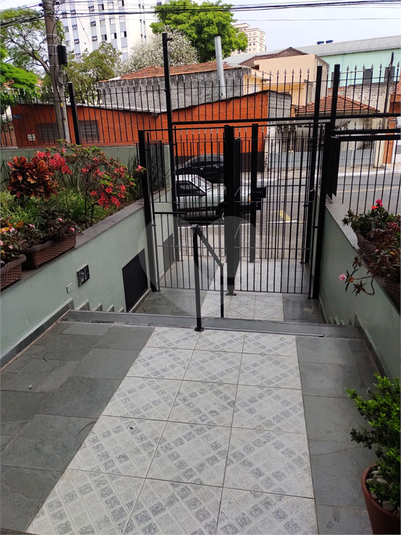 Foto REO1118527