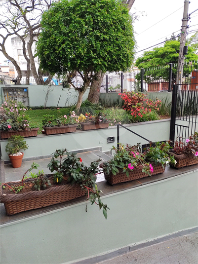 Foto REO1118527