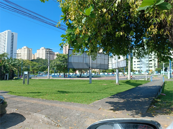 Foto REO1118538