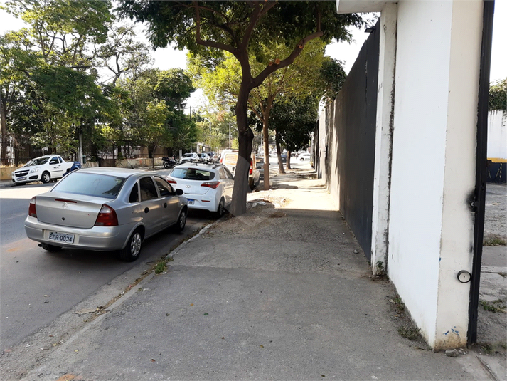 Foto REO1118543
